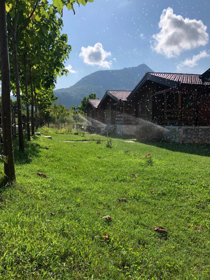 Orahovo Cottages Virpazar Ngoại thất bức ảnh