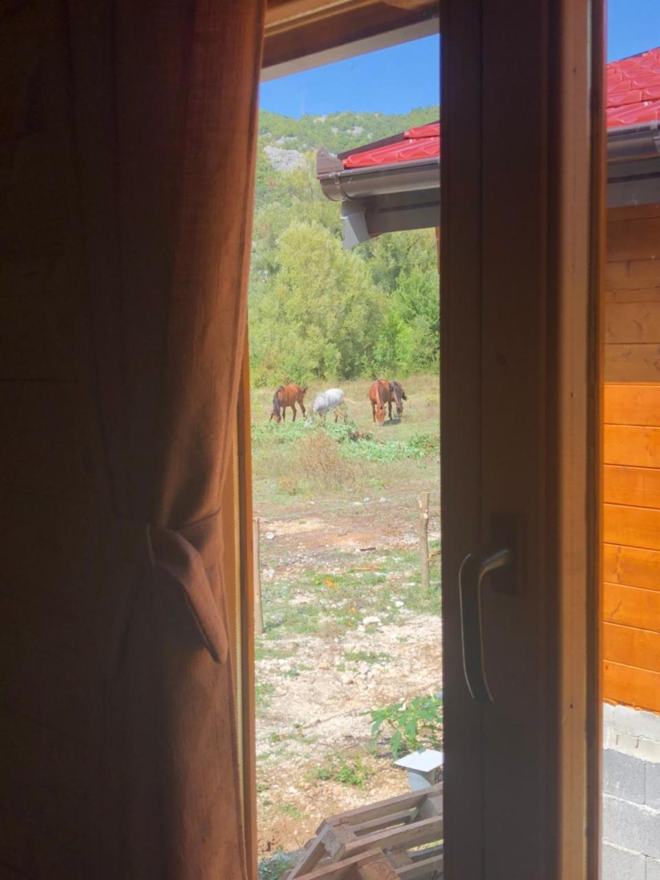 Orahovo Cottages Virpazar Ngoại thất bức ảnh